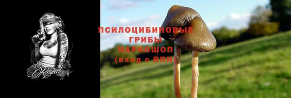 дурь Заволжск