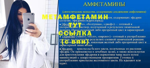 ГАЛЛЮЦИНОГЕННЫЕ ГРИБЫ Заволжье