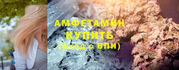ГАЛЛЮЦИНОГЕННЫЕ ГРИБЫ Заволжье