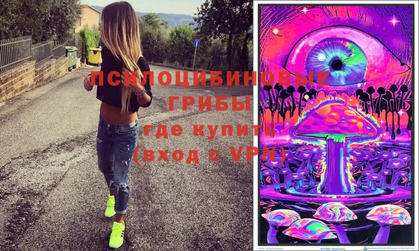 ГАЛЛЮЦИНОГЕННЫЕ ГРИБЫ Заволжье