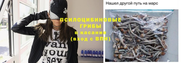 дурь Заволжск