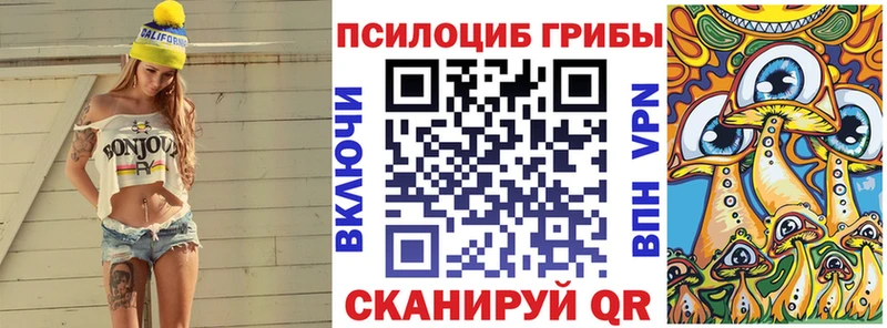 Купить закладки  Сусуман  Галлюциногенные грибы Psilocybine cubensis 