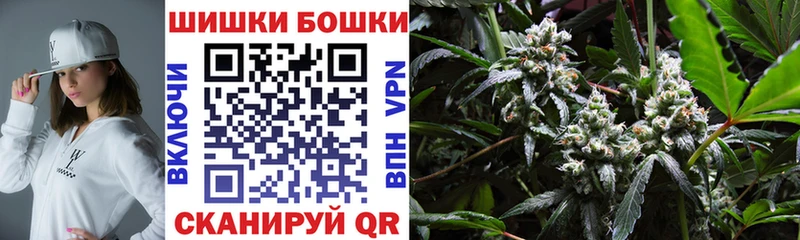 Купить  Сусуман  Каннабис MAZAR 